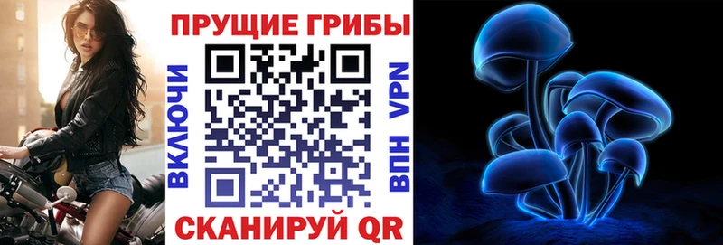 Псилоцибиновые грибы Magic Shrooms  Нижнеудинск 
